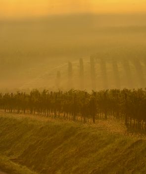 image Trophées Bordeaux Vignoble Engagé, plus loin encore !