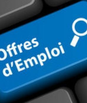 image Petites Annonces
