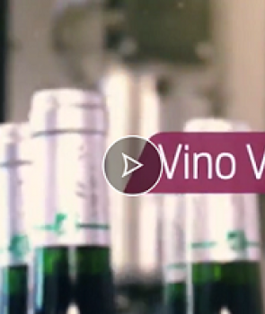 image Sur TV7, la parole aux vignerons et négociants
