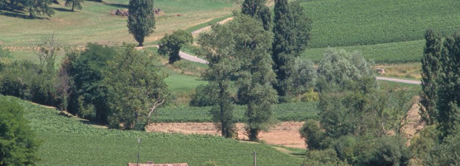 Réunion Publique le 06 Février 2018 - PPRMT 