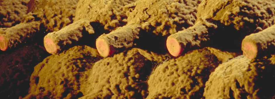 Recherche d’un local par la société PAETZOLD