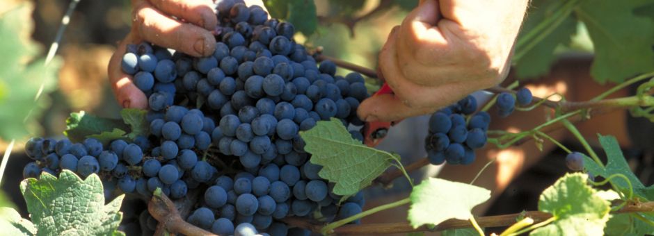 Rappel, proposez à vos salariés un test gratuit 