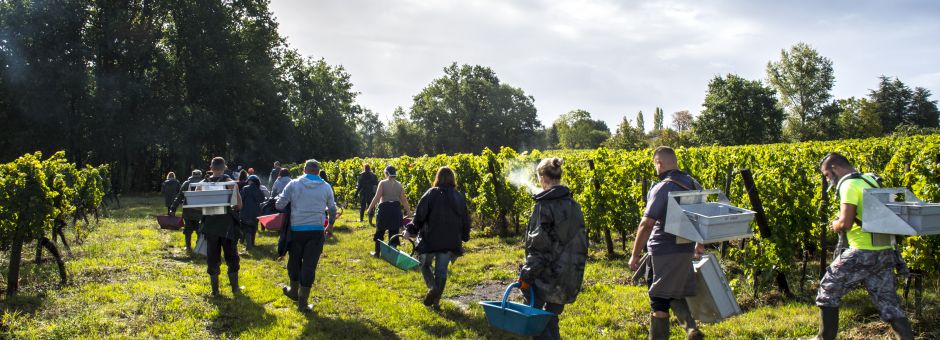 « Quinzaine des Métiers de la vigne et du Vin »