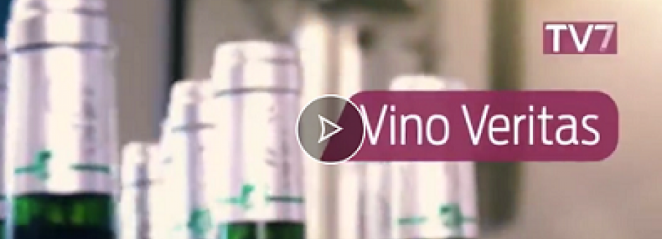 Sur TV7, la parole aux vignerons et négociants